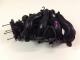 Ford Escape ZC 2006 - 2007 Engine Inlet Manifold